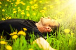 Junger Mann entspannt auf Blumenwiese