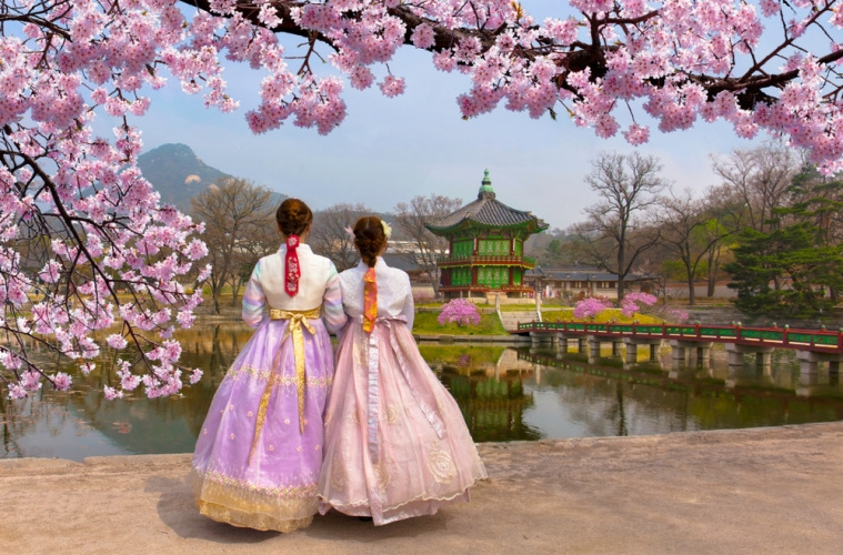 Kirschblüte in Südkorea mit traditioneller Kleidung