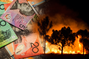 Buschbrände im australischen Outback. Farblich australische Dollar-Hintergrund.